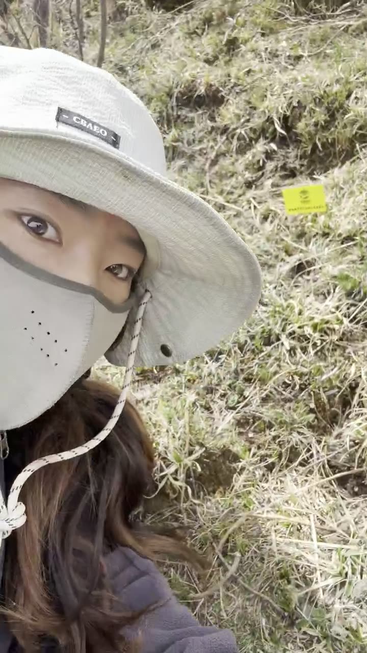 措姆虫草山采挖