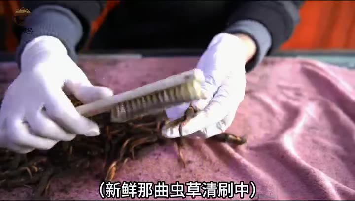 鲜草干刷过程