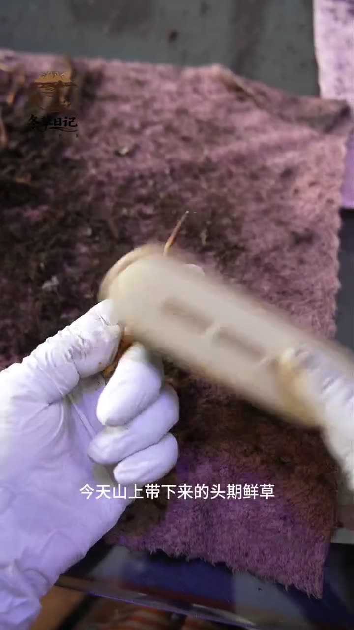 鲜草干刷细节