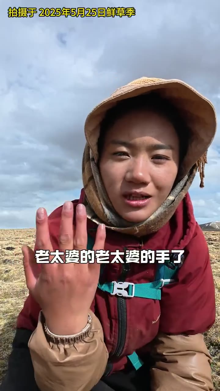 虫草山采挖感受记录