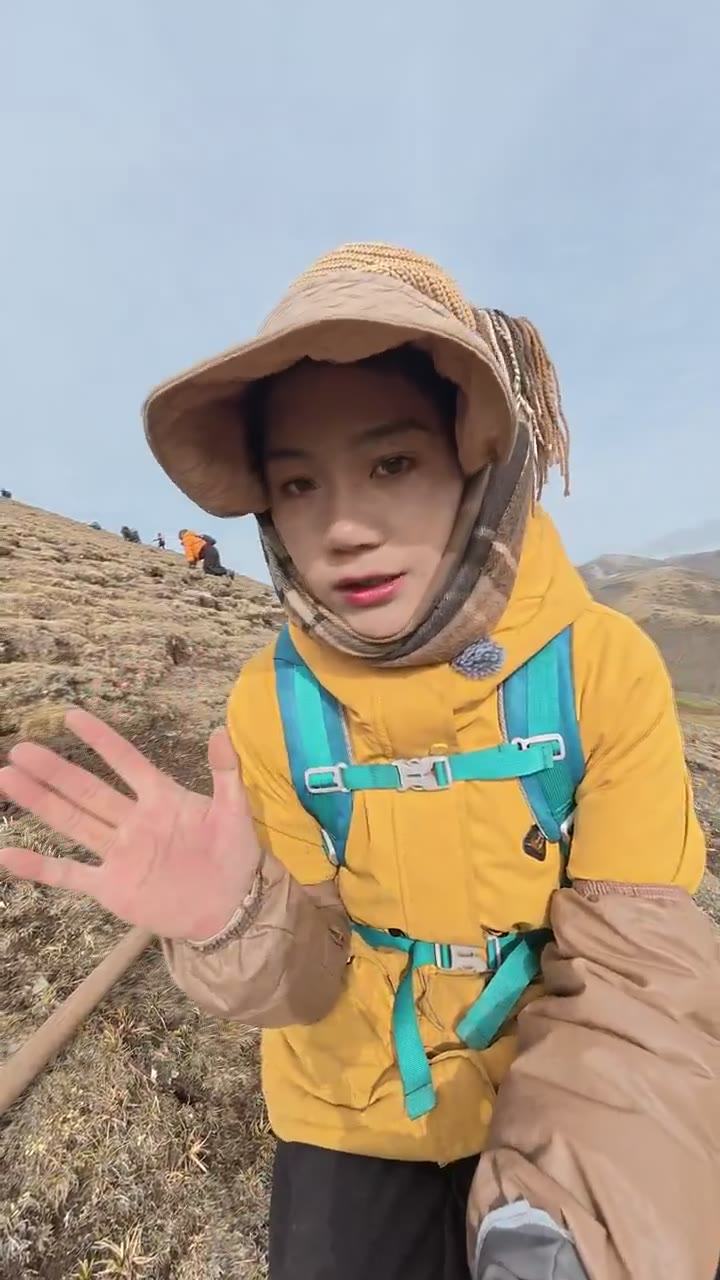 尼吉寻找虫草