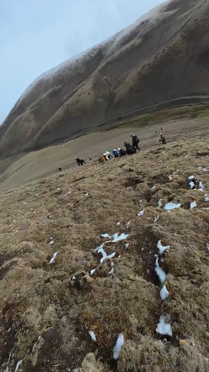 虫草山采挖记录